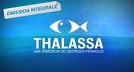 Thalassa 